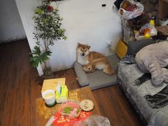 -About Bistro關於·泰式家庭料理