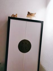 -香秀空间科技抗衰·美容中心