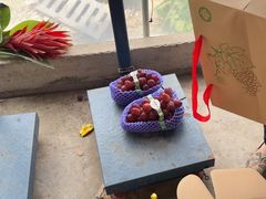 -马陆小张葡萄园农家乐