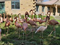 -哈尔滨北方森林动物园