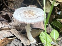 -上海虹桥宾馆(郁锦香品牌酒店)