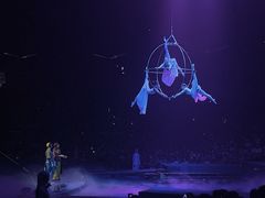 -广州长隆国际大马戏