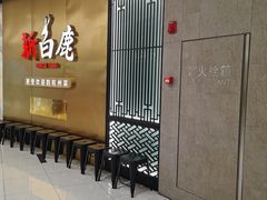 -新白鹿餐厅(虹桥南丰城店)