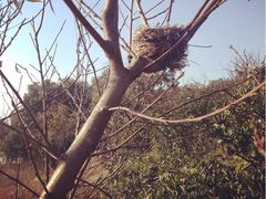 iphone_upload_pic-三山岛