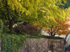 -苏州河梦清园环保主题公园