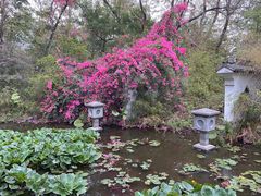 -深圳国际园林花卉博览园