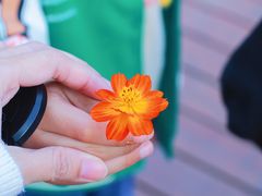 -上海交通大学(闵行校区)