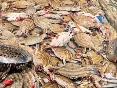 -一方渔歌蒸汽海鲜自助(文化路万达广场店)