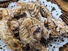 -洲晓鱻舟山海鲜(2号店)