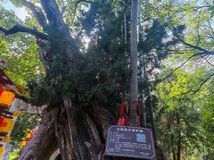 -南阳卧龙岗武侯祠