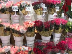 -天虹购物中心(深圳龙华店)