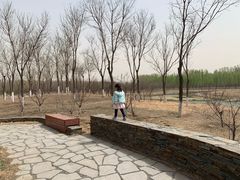 -东郊湿地公园