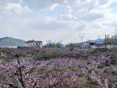 -河口景区