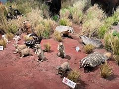 -陕西自然博物馆