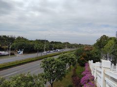 -宝安西湾红树林湿地公园