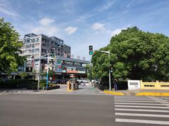 -大华梧桐墅大公馆