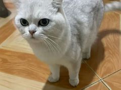 -蜀辣居鲜货老火锅(红牌楼店)