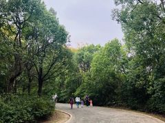 -上海海湾国家森林公园