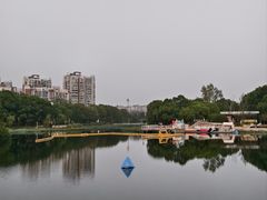 -新江湾城公园