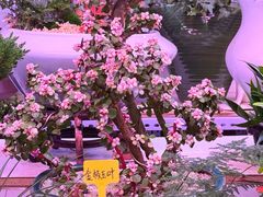 -花鸟鱼虫鲜花绿植市场(玉泉路店)