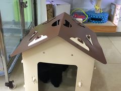 -瑞鹏宠物医院·骨科·猫科·内科(第一中心)
