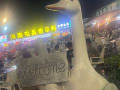 -盐禾堂海南屯昌香草鸭(总店)
