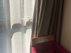 -北京望京华彩智选假日酒店