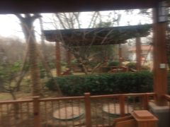 -思念果岭悦温泉