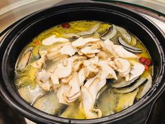 -野菌皇海景野生菌火锅(滨海大道店)