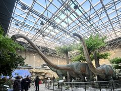 -国家自然博物馆