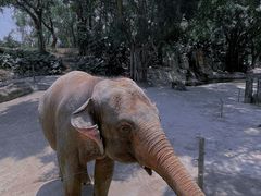 -深圳野生动物园