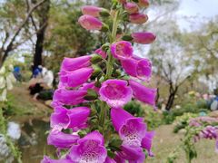 -人民公园(罗湖区)