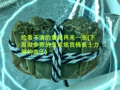 -喜洋洋蟹庄(阳澄湖店)