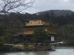 -豆政(金閣寺境内売店)