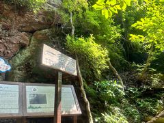-天女山森林公园