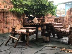 -泉州海丝野生动物世界