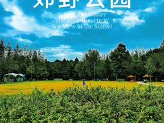 -上海长兴岛郊野公园