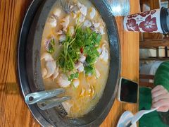 -大鼎石锅鱼(春江里店)