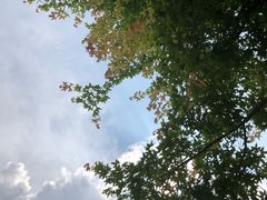-龙谕酒庄