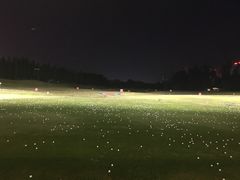 -棕榈泉国际高尔夫学院