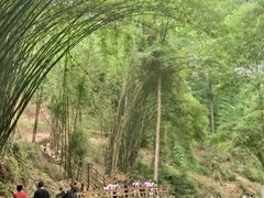 -凤栖山