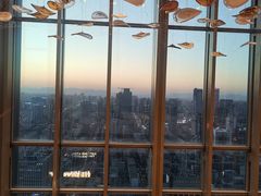 -视界美食自助餐厅·石家庄希尔顿酒店