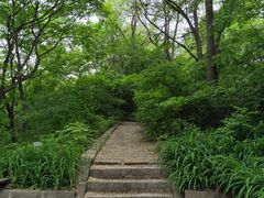 -萨尔浒风景区