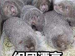 -超市发超市(学院路店)