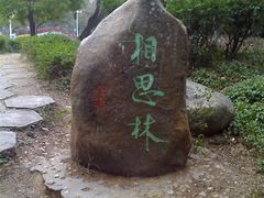 -金砂公园