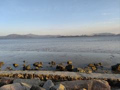 -深圳湾公园(南山区)