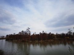-池杉湖湿地公园
