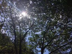 -楠溪江风景名胜区