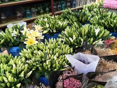-秦美花卉(天朗·莱茵小城2期店)