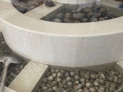 -兄弟餐厅(滨海公路店)
